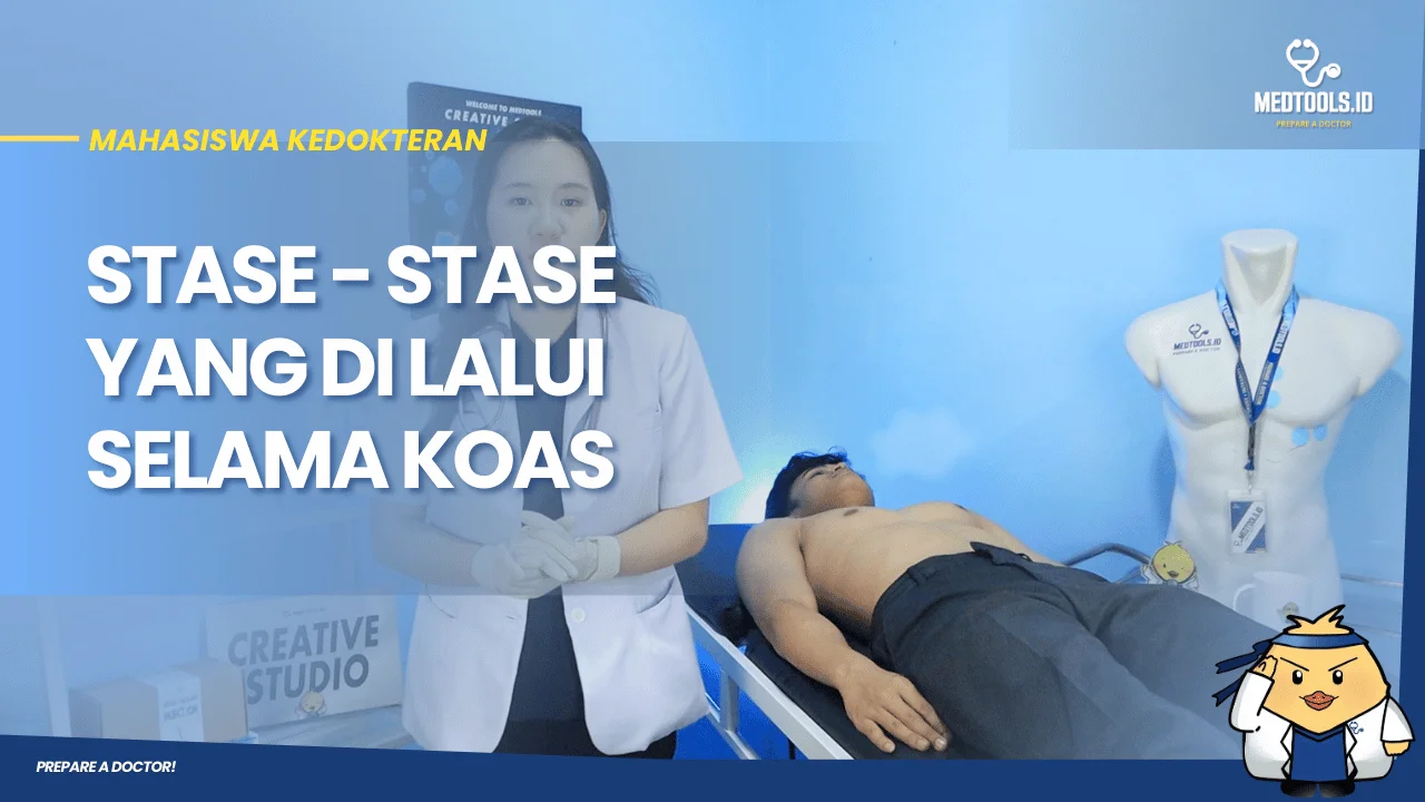 Stase - stase yang di lalui selama koas